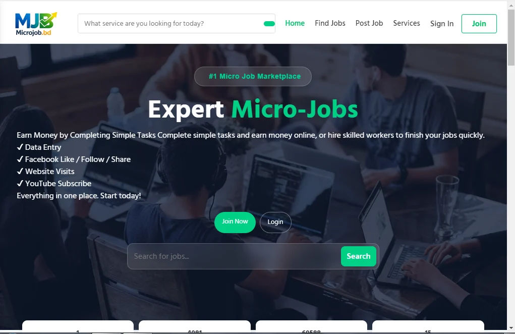 Micro Job